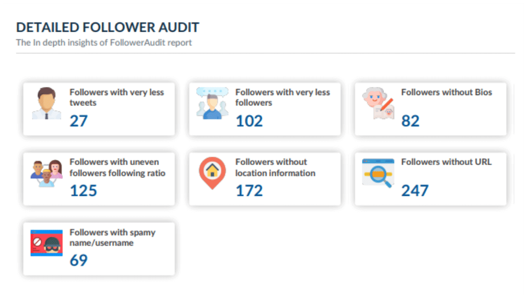 Detailed Follower Audit